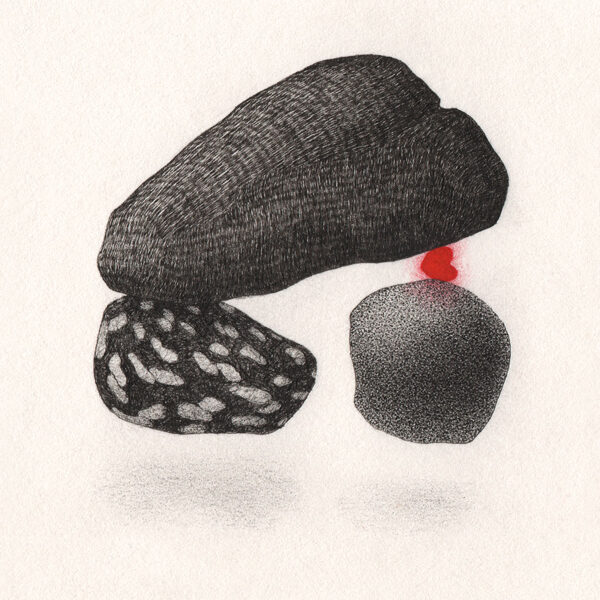 HEART STRUCTURE 10 cm x 15 cm Rapidograph, acrylic, pencil / paper 2025 Available