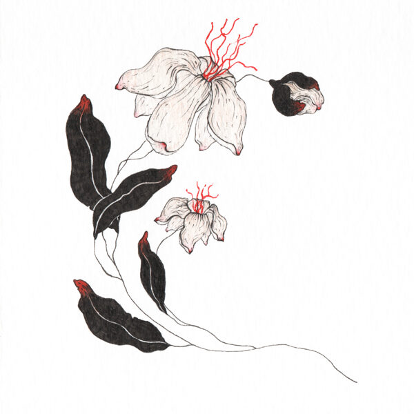 TALK 10 cm x 15 cm Rapidograph, watercolor, pencil / paper 2025 Available