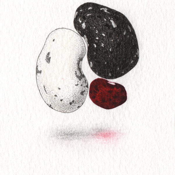 YIN YANG + 10 cm x 15 cm Rapidograph, pencil / paper 2025 Available