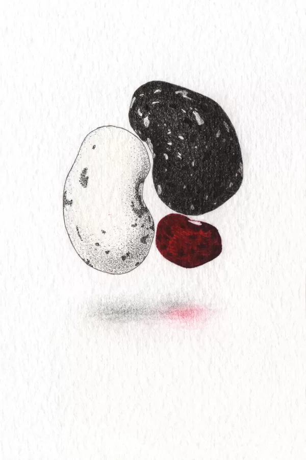 YIN YANG + 10 cm x 15 cm Rapidograph, pencil / paper 2025 Available