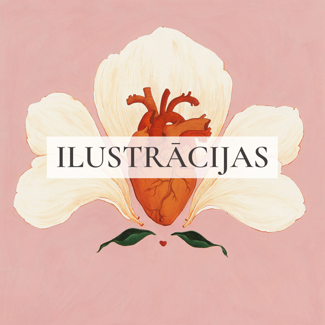 Anna Simtniece Ilustrācijas